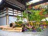 赤い野ばらの実と、赤黄色の金木犀「秋の花手水その② 始まりました。」
