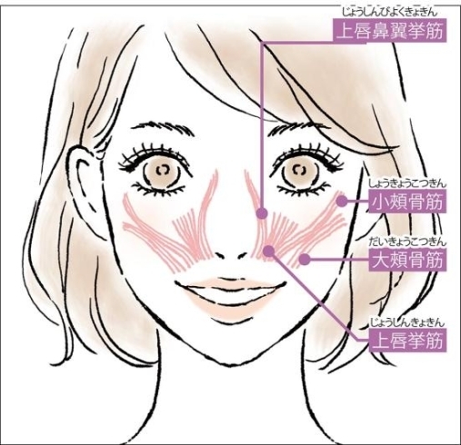 マスク着用による口回りが無防備に ほうれい線やたるみをケア 女性専用24時間ジムアワード八王子 八王子24時間ジム 女性専用 アワード八王子のニュース まいぷれ 八王子市 マスク着用による口回りが無防備に ほうれい線やたるみをケア 女性専用24時間ジムアワード八王子 八王子24時間ジム 女性専用 アワード八王子のニュース まいぷれ 八王子市