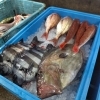 「今日はマグロ祭り」