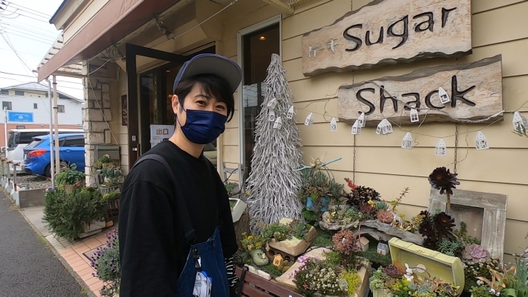 総武線散策 東船橋駅周辺を歩きました 街ブラ 散歩 ケーキ屋 Sugarshack 県立船橋高校 史跡巡り 東船橋花輪緑地 凌雲荘 あふたーすくーる とみーのニュース まいぷれ 船橋市