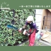 「合同会社 藤空豆【川口の造園会社】」