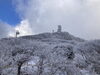 美しい白銀の世界「別府市　学習塾RainBow　鶴見岳の霧氷　【別府　塾　個別指導　高校入試　大学入試　自習室完備　新規生募集中】」