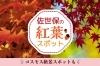 佐世保の紅葉スポットまとめ