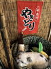 看板犬見習いの小鉄「やきとり」