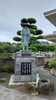 「お寺さまより(北九州市八幡西区若葉にある少人数対応安心低価格の直葬．家族葬専門葬儀社です)」