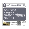 SAMPLE