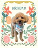 「Dog salon mofu mofu　余市町」