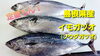 「○本日のお刺身【しまね定置もん】石鯛、イモガツオ」