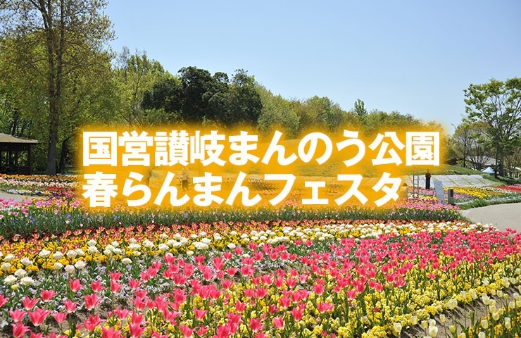 国営讃岐まんのう公園 春らんまんフェスタ 四国内のイベント情報 まいぷれ 新居浜市 国営讃岐まんのう公園 春らんまんフェスタ 四国内のイベント情報 まいぷれ 新居浜市
