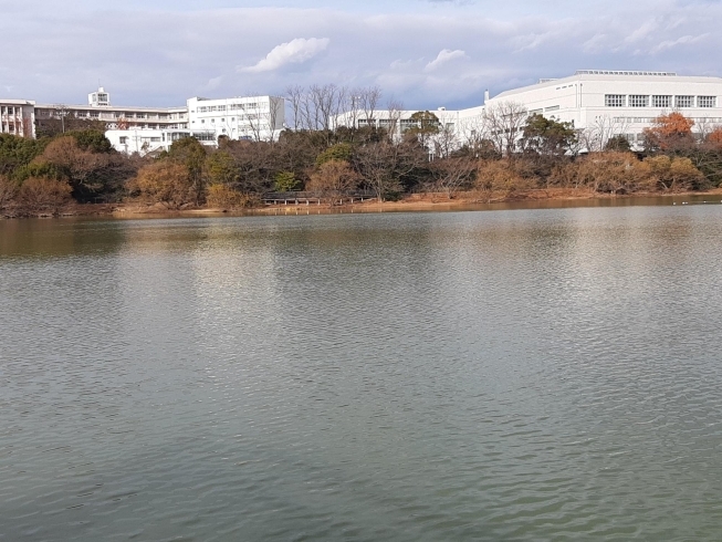 大学「大府市　二ツ池公園」