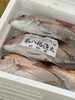 「岩船産コシヒカリ販売中‼️」