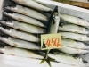 「魚魚市場鮮魚コーナーおすすめは「チカメキントキ・カマス」です♪」