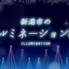 新潟市　冬のイルミネーション2023-2024