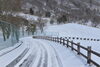 「またもや積雪・・・」