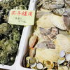 「魚魚市場鮮魚コーナーおすすめは「クロ・ノドグロ」です♪」