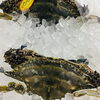 「魚魚市場鮮魚コーナーおすすめは「タカアシガニ」です♪」