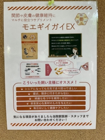 こんな方にオススメです「おススメのサプリメント、紹介します❗️【石狩　動物病院】」