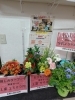 「【泉佐野市、貝塚市、熊取町、日根野】でお住まいの方にお得な金曜日のオススメの花屋りっちゅ情報」