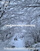 「Thursday, 11th December 2025」