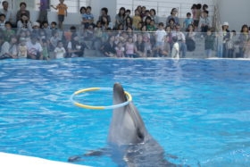 九十九島水族館 海きらら