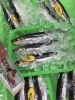 「魚魚市場鮮魚コーナーおすすめは「ヒラメ」です♪」