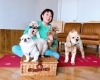 集合写真「【北総線】犬の飼い主ママさん必見！夏から始めるヨガは犬も一緒に運動不足解消へ！」