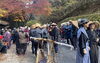 「文化文政風俗絵巻之行列」