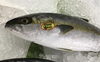 「魚魚市場鮮魚コーナーおすすめは「クロムツ・カマス」です♪」