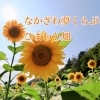 【なかざわ夢くらぶ】のひまわり畑