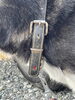 「迷い犬を保護しています【西条市丹原町関屋131番地付近（丹原／萬福寺近辺）】」