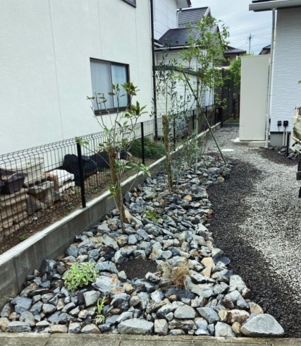 「植栽が家の外観を彩ります！《福島市でエクステリアのことならグリーンライフ》」