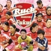 福井丸岡ruck まいぷれ 福井