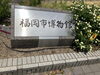 福岡市博物館「藤城清治展に行きました」