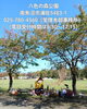 「八色の森公園がハロウィン仕様に！夜はライトアップもしているよ。」