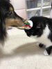 「暖かくなって…」