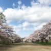 【盛岡】河川公園