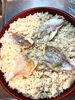 「🔴藤さろんカコ便り🔴安芸高田市の暮らし」