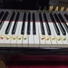 単発レッスン