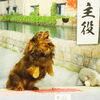 ライラちゃん「今日のお友達」