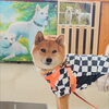 うめちゃん「今日のお友達」