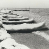 昭和59年2月10日天王崎の結氷