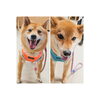うめ＆まるちゃん「今日のお友達」