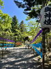 「上川神社へ」