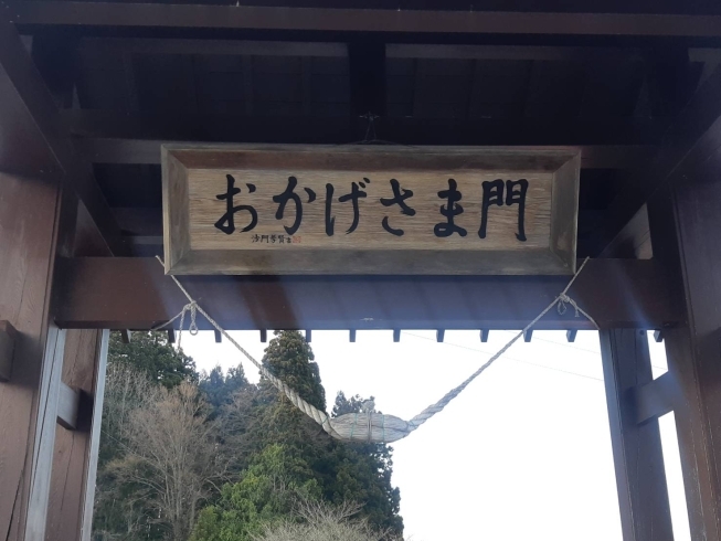 「おかげさまで」と声を出し通り抜けます。「鮭川村の庭月観音の桜状況🌸」