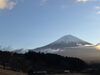 富士山「新年のご挨拶/水槽レンタルならアクアデザインブルース/島田市/アクアリウム/」
