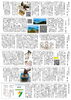 「ゆうゆう新聞2026年10月号」