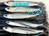 「○本日のお刺身○【島根県産】キツネカツオ(ハガツオ)、トビウオ」
