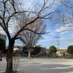 21回　神明丸公園（しんめいまるこうえん）　☆南浦和☆