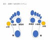 足の横（黄印）にもう一つの支点が出来る事により安定度が増します。安定する事により安心してできます。「ソーラーポール体操の体験と教室のお知らせ」