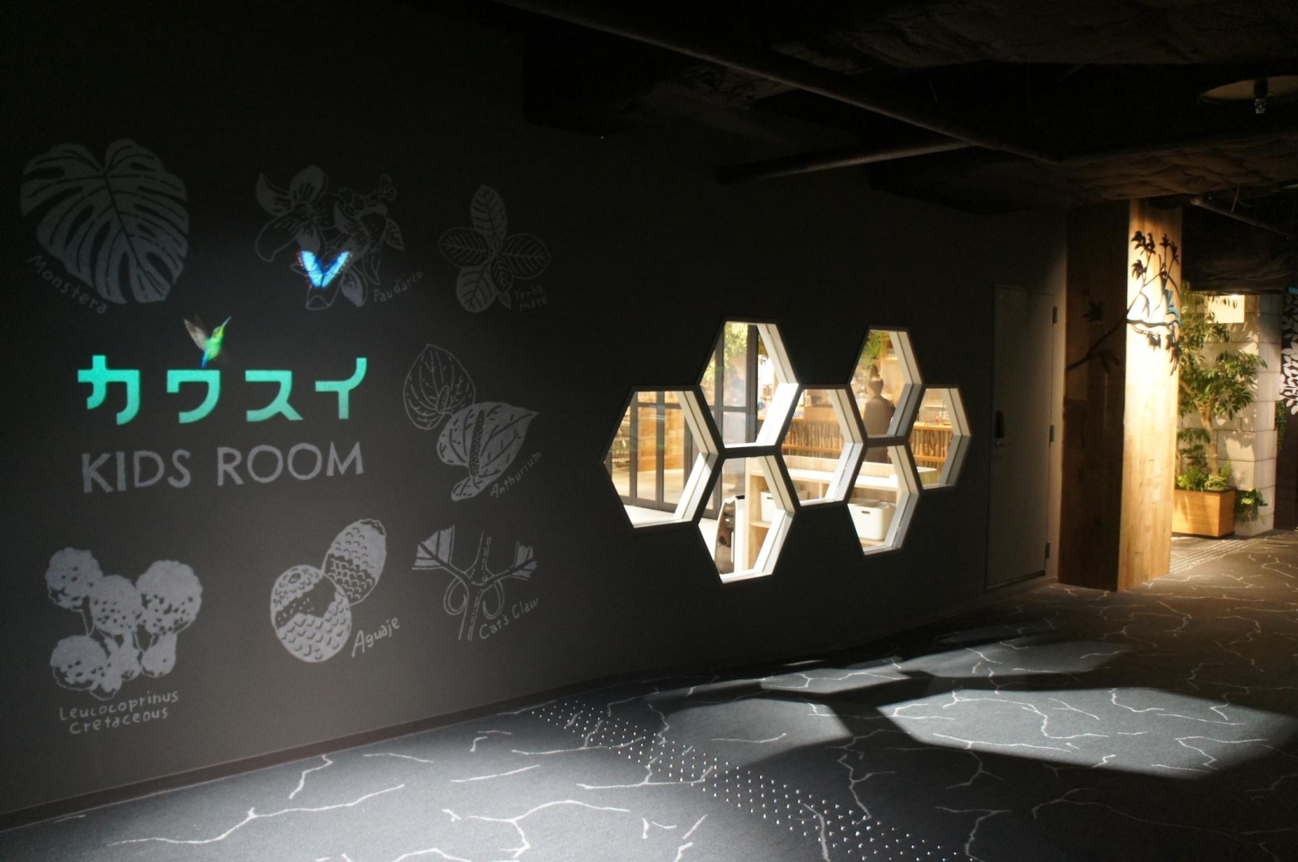 カワスイ川崎水族館にオープン 森の中みたいな こもれびカフェ ソラネコカフェも隣接 後編 編集部のつぶやき 川崎 まいぷれ 川崎市 カワスイ川崎水族館にオープン 森の中みたいな こもれびカフェ ソラネコカフェも隣接 後編 編集部のつぶやき 川崎 まいぷれ 川崎市